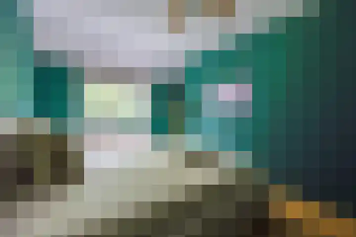 Kamerlingh Onnesweg 114 Kudelstaart thumbnail 33