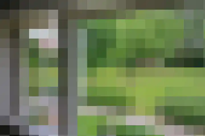 Kamerlingh Onnesweg 114 Kudelstaart thumbnail 34