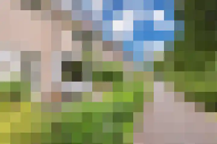 Kamerlingh Onnesweg 114 Kudelstaart thumbnail 4