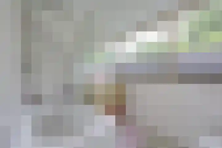 Kamerlingh Onnesweg 114 Kudelstaart thumbnail 46