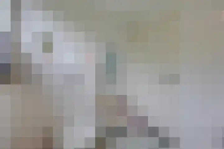 Kamerlingh Onnesweg 114 Kudelstaart thumbnail 47