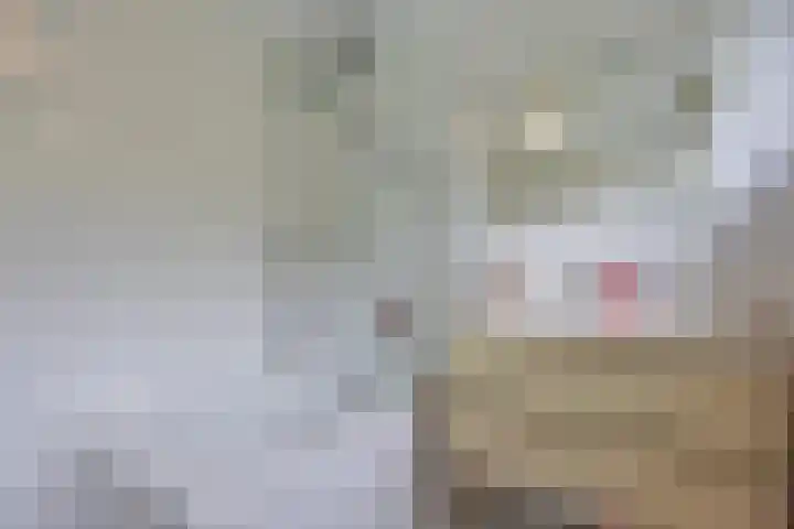 Kamerlingh Onnesweg 114 Kudelstaart thumbnail 48