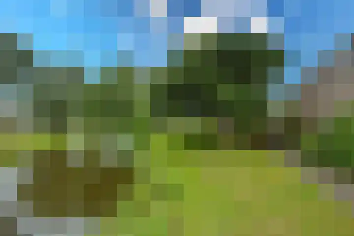 Kamerlingh Onnesweg 114 Kudelstaart thumbnail 49