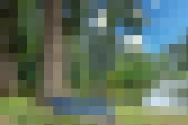 Kamerlingh Onnesweg 114 Kudelstaart thumbnail 50