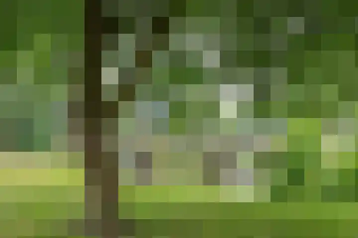 Kamerlingh Onnesweg 114 Kudelstaart thumbnail 51