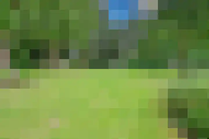 Kamerlingh Onnesweg 114 Kudelstaart thumbnail 7