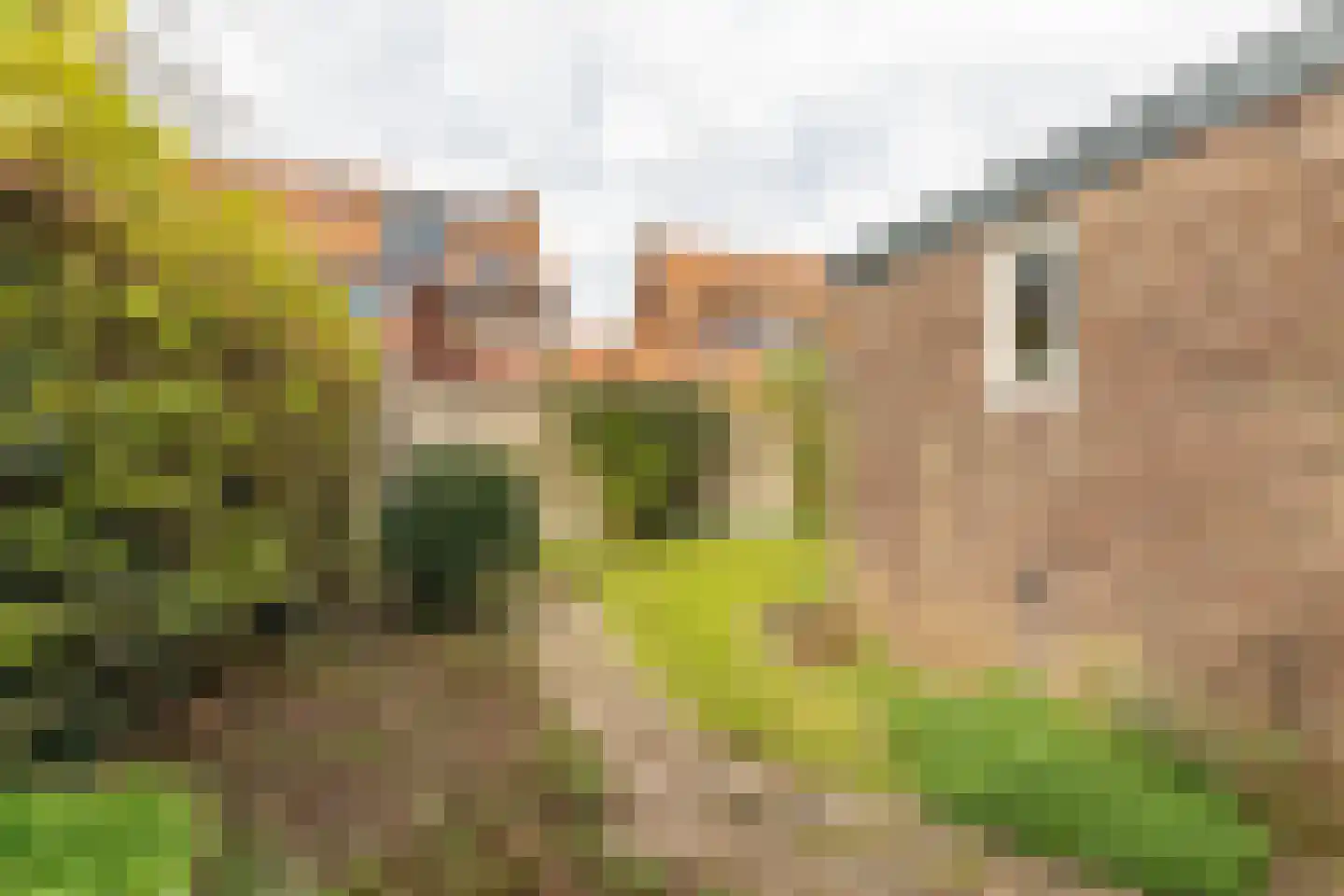 Kamerlingh Onnesweg 119 Hilversum thumbnail 36