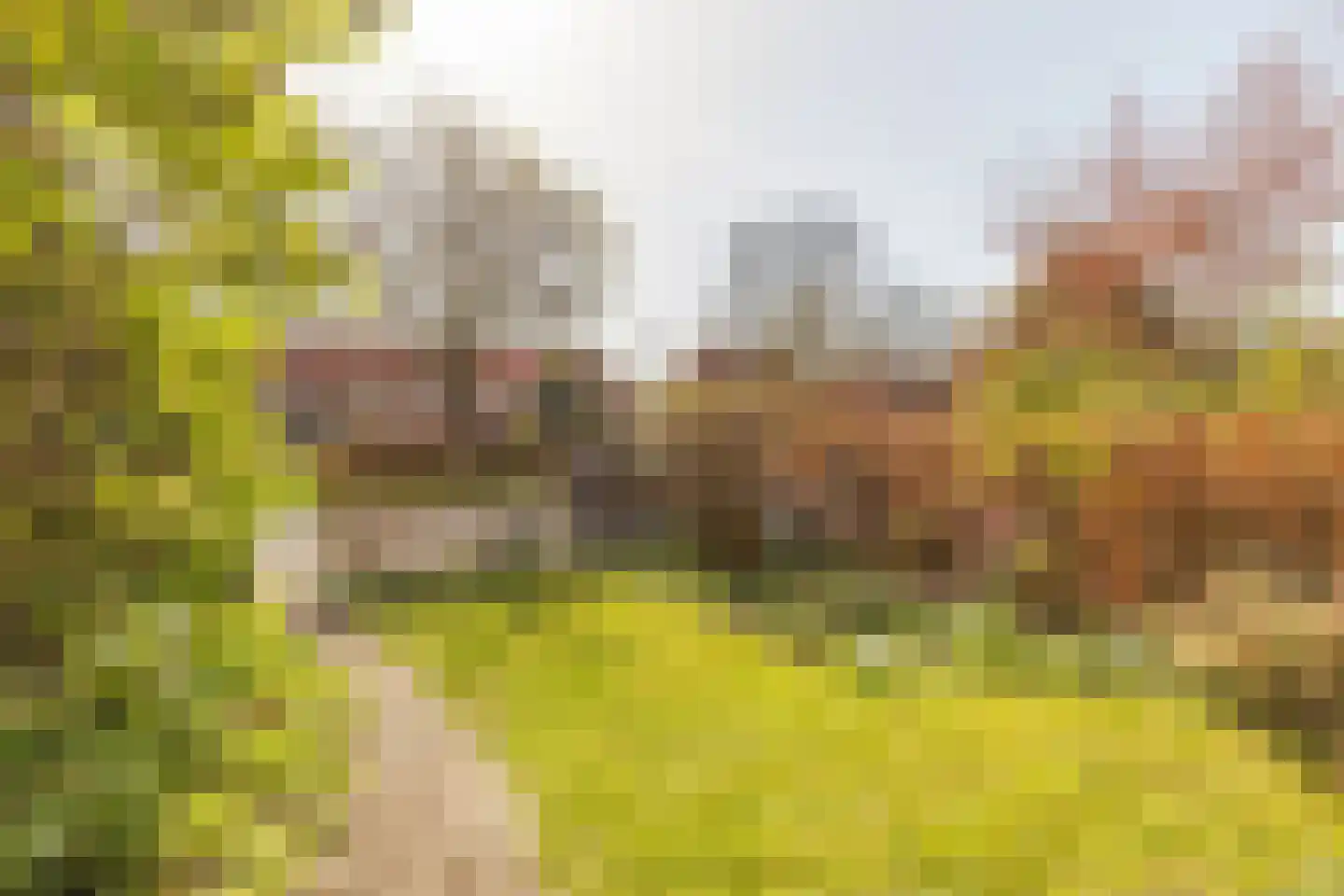 Kamerlingh Onnesweg 119 Hilversum thumbnail 43