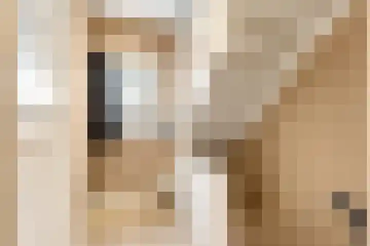 Kamerlingh Onnesweg 133 Hilversum thumbnail 12