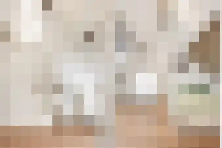 Kamerlingh Onnesweg 133 Hilversum thumbnail 21
