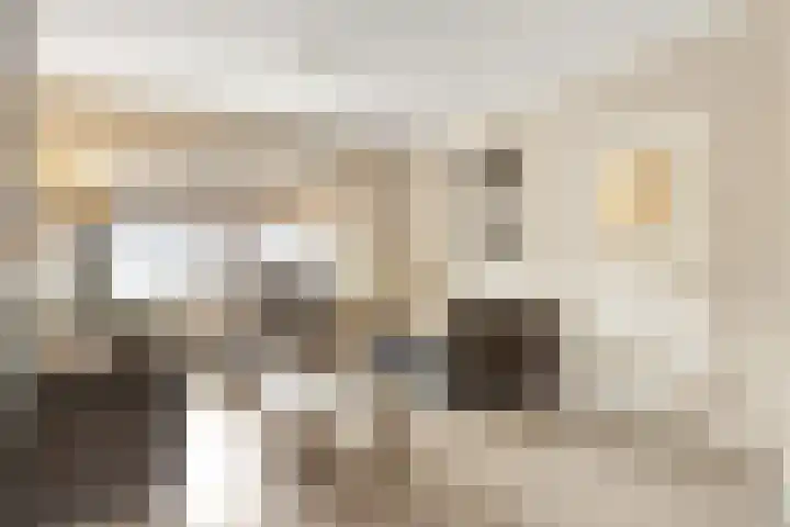 Kamerlingh Onnesweg 133 Hilversum thumbnail 4