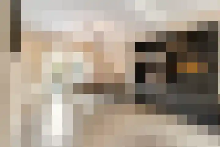 Kamerlingh Onnesweg 133 Hilversum thumbnail 6