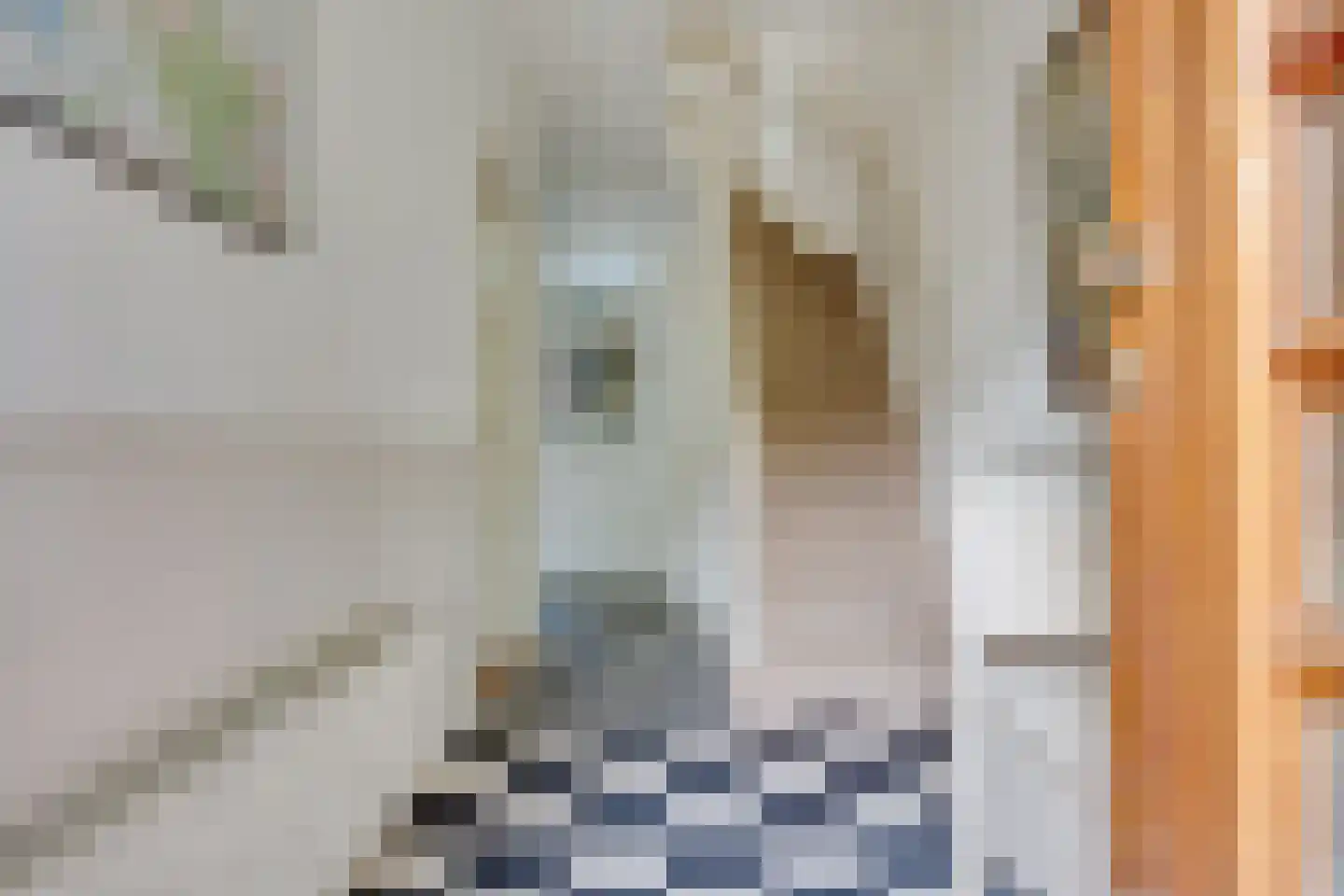 Kamerlingh Onnesweg 189 Hilversum thumbnail 5