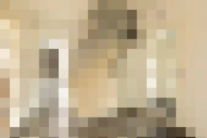 Kamerlingh Onnesweg 205 Hilversum thumbnail 18