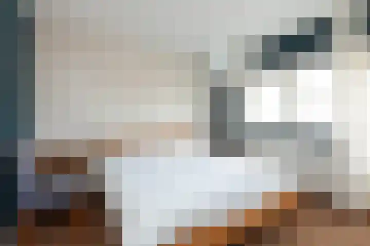 Kamerlingh Onnesweg 205 Hilversum thumbnail 21