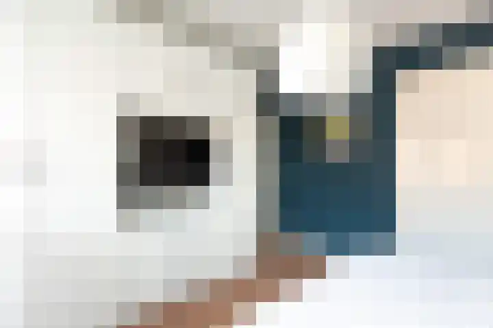 Kamerlingh Onnesweg 205 Hilversum thumbnail 23