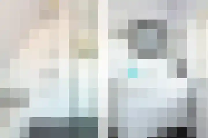 Kamerlingh Onnesweg 205 Hilversum thumbnail 26