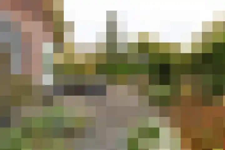 Kamerlingh Onnesweg 205 Hilversum thumbnail 30