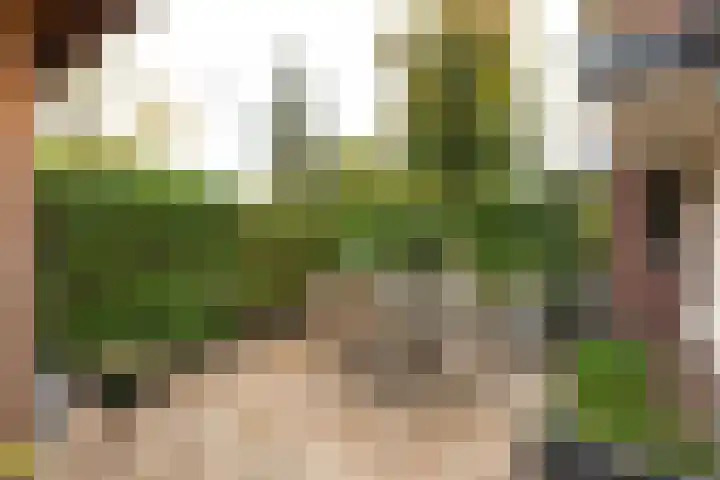 Kamerlingh Onnesweg 205 Hilversum thumbnail 31
