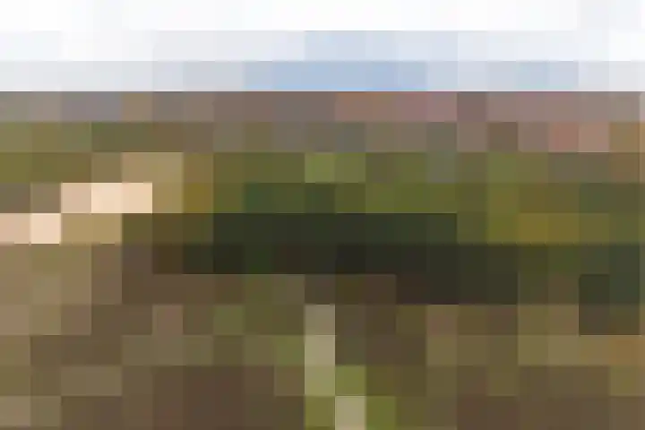 Kamerlingh Onnesweg 205 Hilversum thumbnail 34