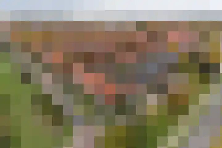 Kamerlingh Onnesweg 205 Hilversum thumbnail 36