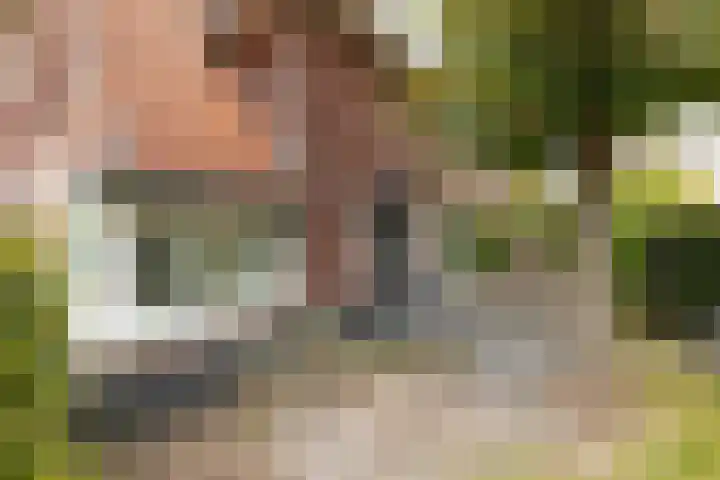 Kamerlingh Onnesweg 205 Hilversum thumbnail 5
