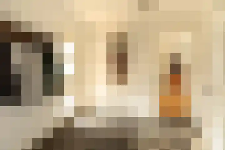 Kamerlingh Onnesweg 205 Hilversum thumbnail 6