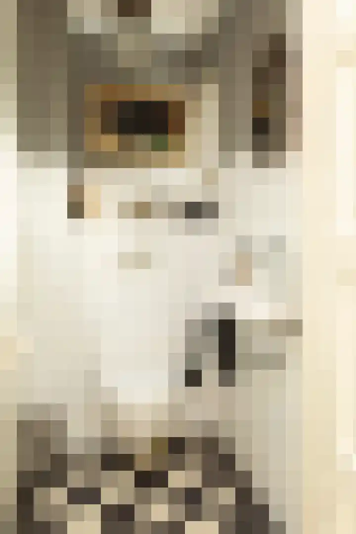 Kamerlingh Onnesweg 205 Hilversum thumbnail 7