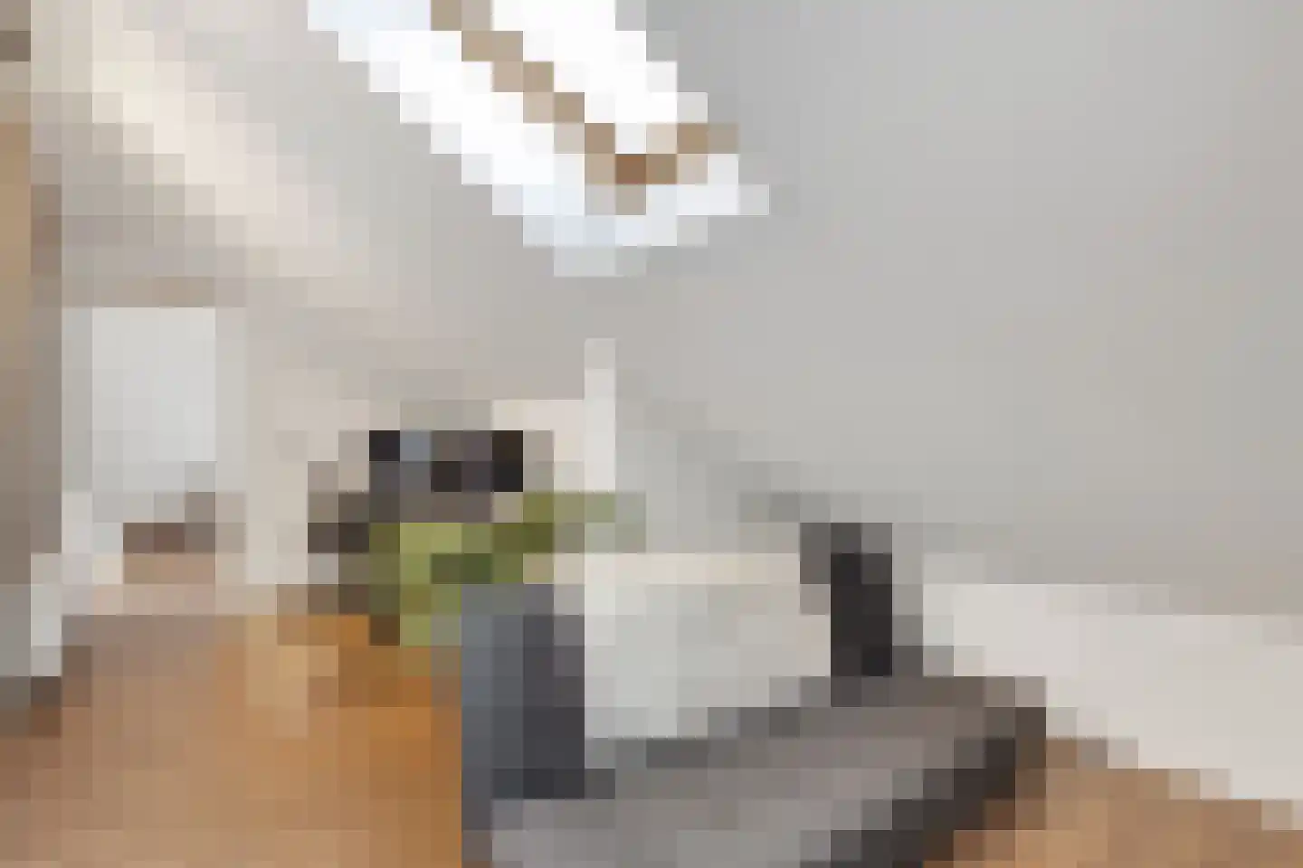 Kamerlingh Onnesweg 216 Hilversum thumbnail 20