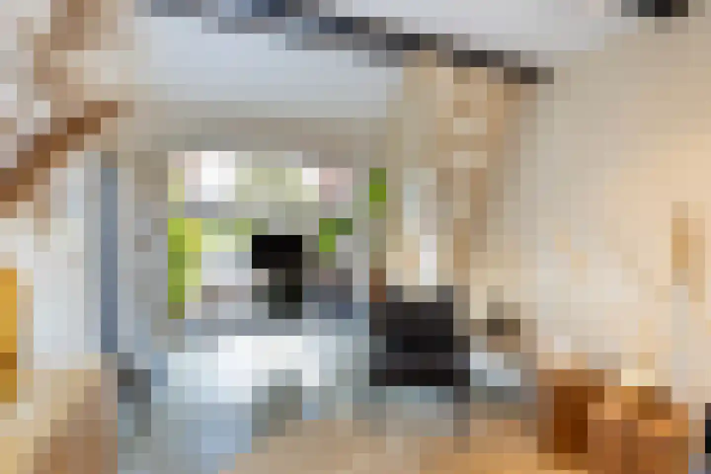 Kamerlingh Onnesweg 221 Hilversum thumbnail 31