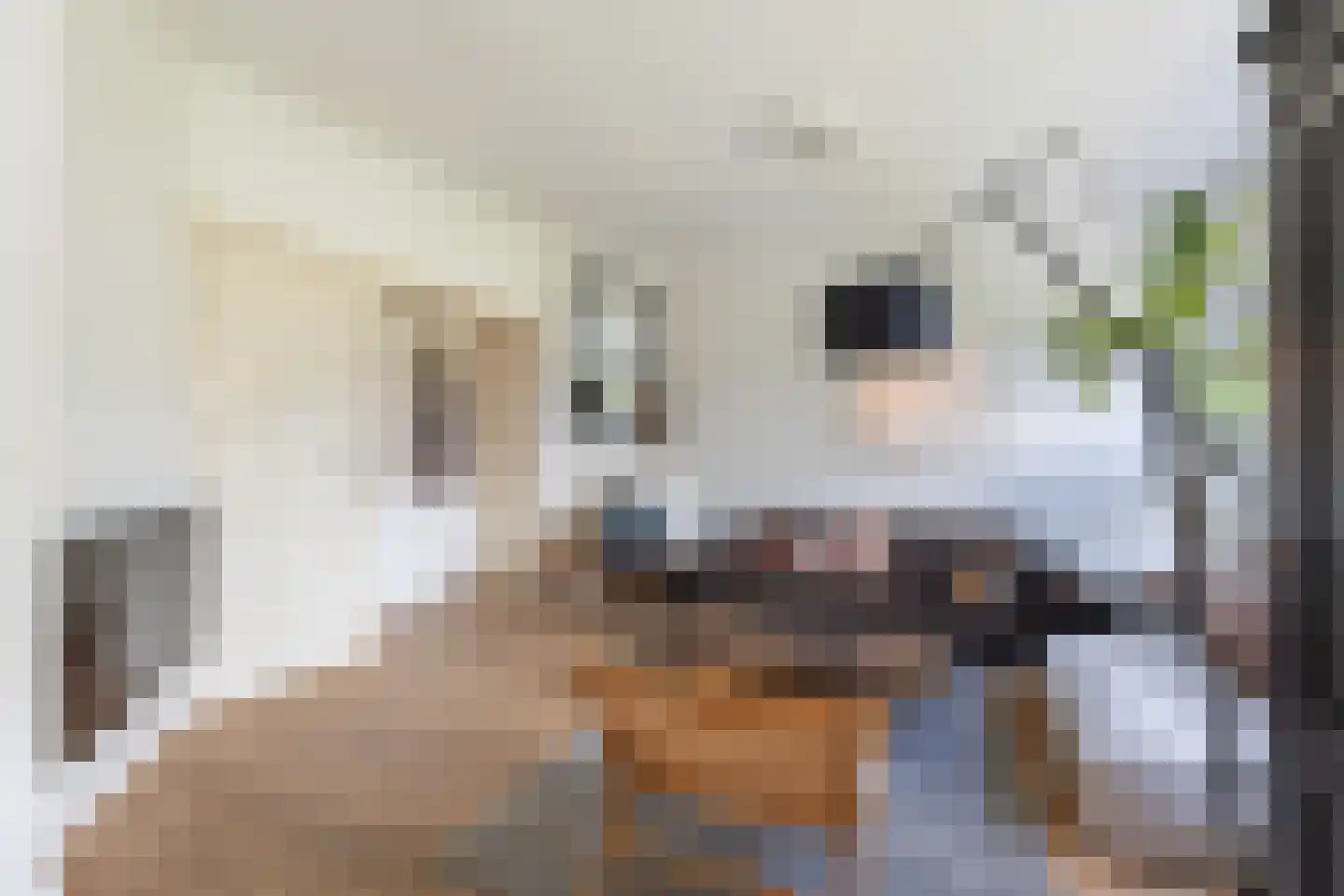 Kamerlingh Onnesweg 221 Hilversum thumbnail 6