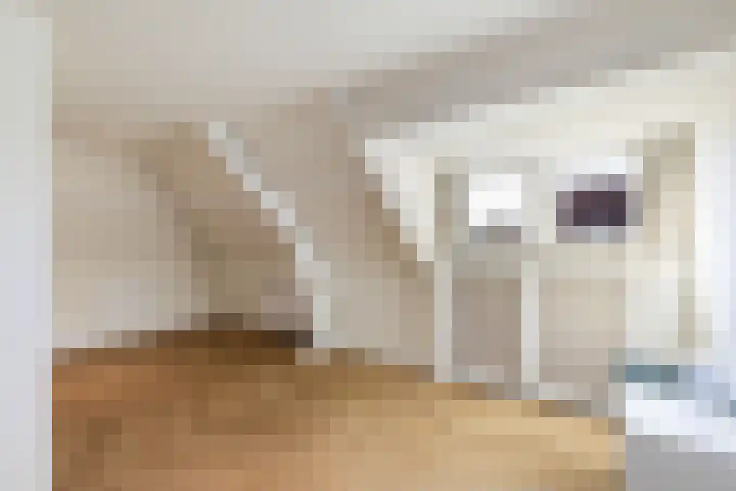 Kamerlingh Onnesweg 239 Hilversum thumbnail 38