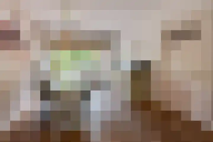 Kamerlingh Onnesweg 260 Hilversum thumbnail 13