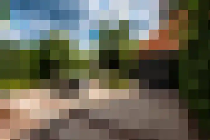 Kamerlingh Onnesweg 260 Hilversum thumbnail 20