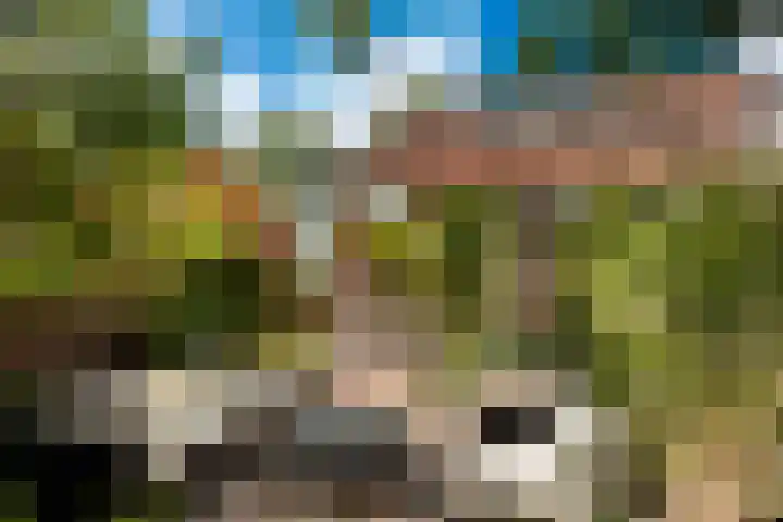 Kamerlingh Onnesweg 260 Hilversum thumbnail 24