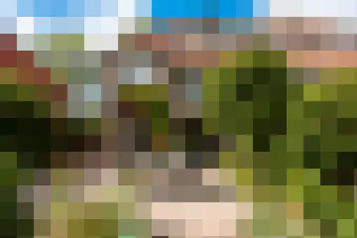 Kamerlingh Onnesweg 260 Hilversum thumbnail 25