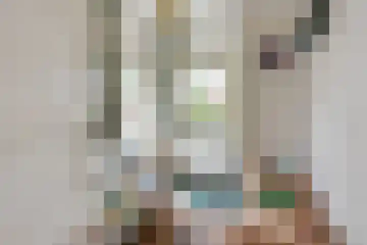 Kamerlingh Onnesweg 260 Hilversum thumbnail 26