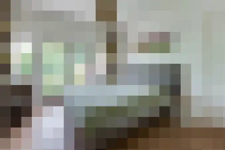 Kamerlingh Onnesweg 260 Hilversum thumbnail 28