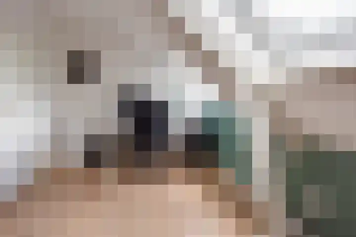 Kamerlingh Onnesweg 260 Hilversum thumbnail 37