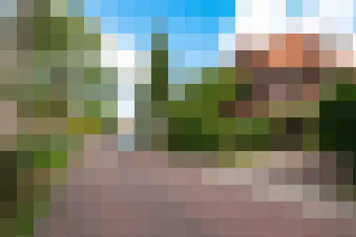 Kamerlingh Onnesweg 260 Hilversum thumbnail 45
