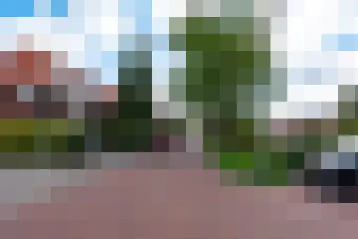 Kamerlingh Onnesweg 260 Hilversum thumbnail 47