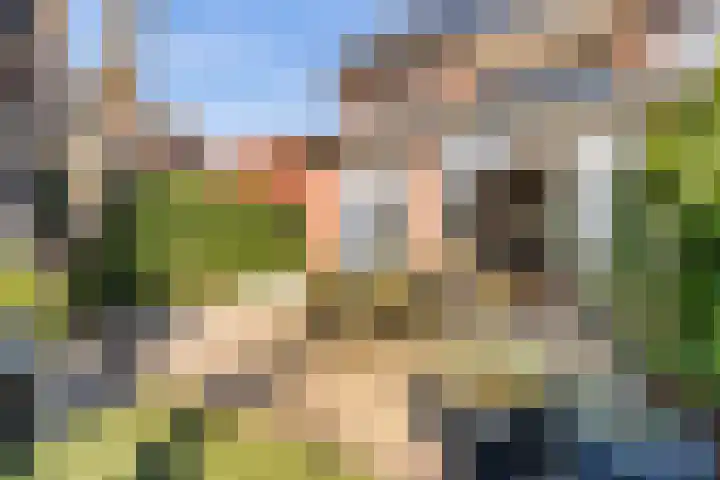 Kamerlingh Onnesweg 265 Hilversum thumbnail 20