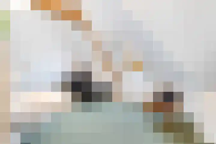 Kamerlingh Onnesweg 265 Hilversum thumbnail 36