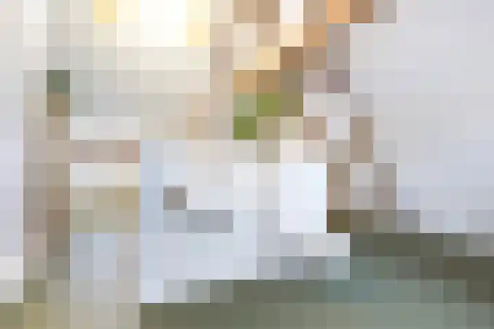 Kamerlingh Onnesweg 265 Hilversum thumbnail 37