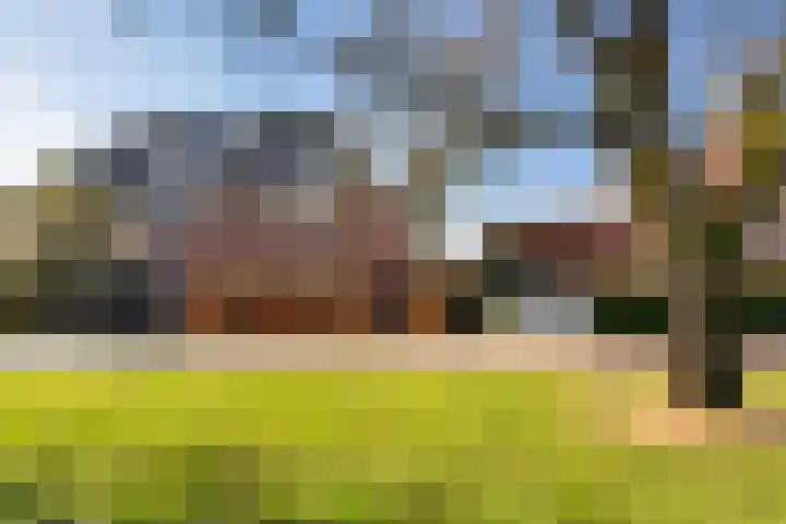 Kamerlingh Onnesweg 265 Hilversum thumbnail 39