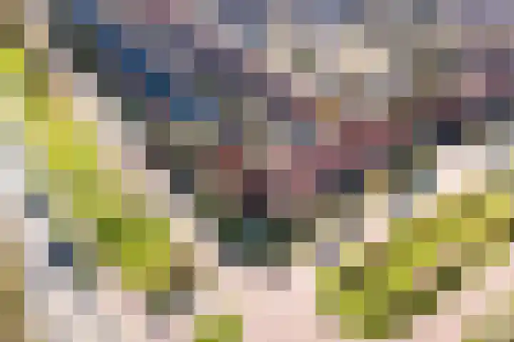 Kamerlingh Onnesweg 265 Hilversum thumbnail 41