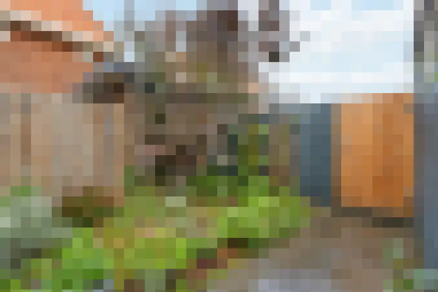 Kamerlingh Onnesweg 284 Hilversum thumbnail 38