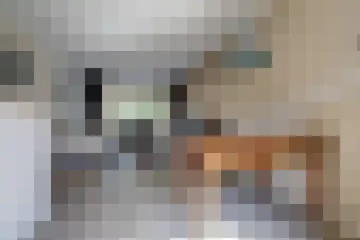 Kamerlingh Onnesweg 52 Hilversum thumbnail 16
