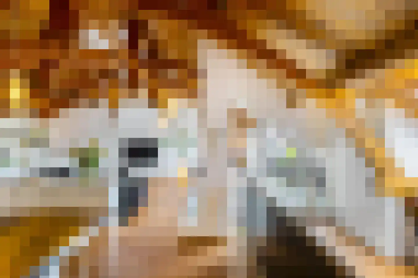 Kamerlingheplein 12 Groningen thumbnail 12