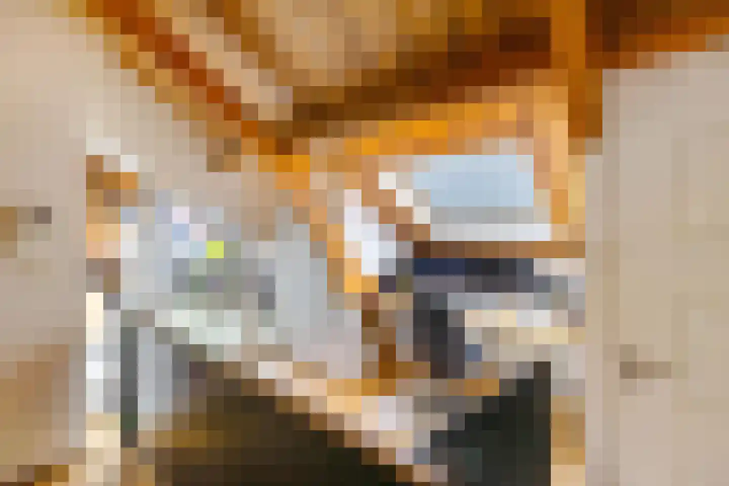 Kamerlingheplein 12 Groningen thumbnail 13